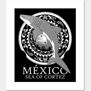 Whale Shark Mexico Sea of Cortez Posters and Art